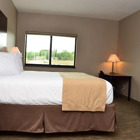 Qube Hotel - Polk City Room photo